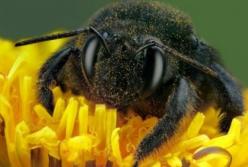 Названо опасное для человечества явление