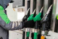 Кабмин подписал с крупнейшими компаниями меморандум о стабилизации цен на бензин