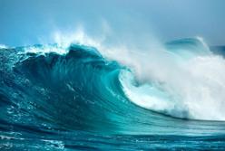 Мировой океан можно восстановить за 30 лет