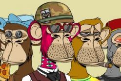 Журналисты разоблачили создателей NFT-коллекции Bored Ape Yacht Club