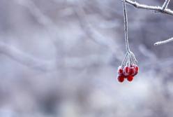 Украинцев ожидает резкая смена погоды