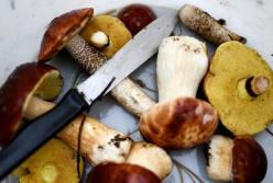 Медики рассказали о пользе грибов для здоровья