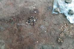 Археологи нашли на Полтавщине скифское золото
