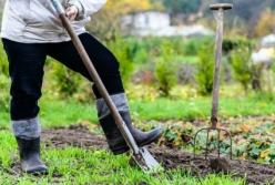 Ученые рассказали об эффективном способе снизить риск инсульта 