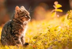 Лето возвращается: какой будет погода в воскресенье