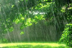 Прогноз погоды на 11 июля: облачно, дожди и прохлада