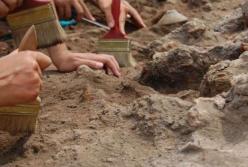 В Австралии обнаружили окаменевшие останки предка всех обитателей Земли (фото)