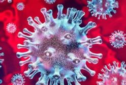 Ученые заявили, что коронавирус живет на пластике и стали до 2-3 дней