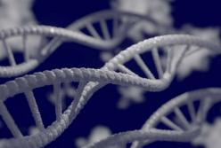 Генетики нашли участки ДНК, позволяющие отращивать потерянные конечности