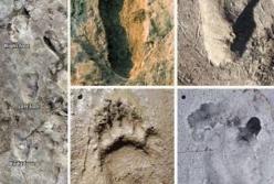Ученые расшифровали таинственные следы из Африки, которым 3,7 млн лет