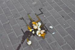 В Харькове кандидата в депутаты забросали яйцами и облили зеленкой (видео)