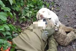 У Боярці знайшли мертвим чоловіка у військовій формі, від тіла ні на крок не відходив білий Лабрадор 