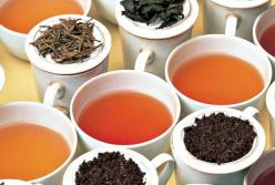 Эксперты назвали самые полезные сорта чая