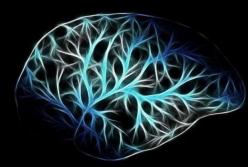 Невролог назвал главные факторы развития старческой деменции