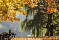 Дожди со снежком: синоптик дала актуальный прогноз на ближайшие дни