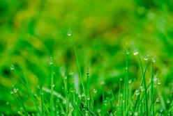 Дожди уходят: синоптики дали обнадеживающий прогноз на субботу