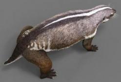 Ученые воссоздали облик "безумного зверя", жившего 66 млн лет назад с динозаврами (фото)