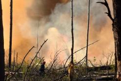 Пожежа у Чорнобильській зоні через уламки дрона погіршила якість повітря в Києві