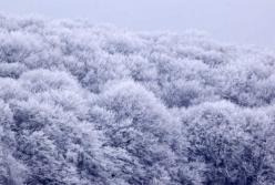 Прогноз погоды на 13 января: штормовой ветер и мороз
