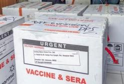 Вакцине Sinovac выдали разрешение на использование