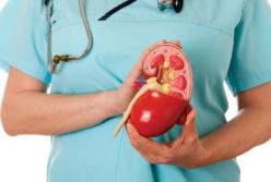 Медики назвали первые признаки заболевания почек