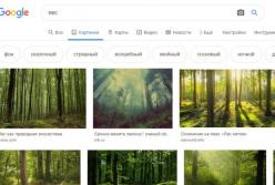 Google Картинки убирает быстрый доступ к информации о разрешении