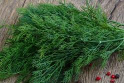 Названа самая полезная зелень