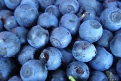 Этот сок улучшает работу мозга