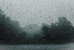 Прогноз погоды на 24 июня: дожди не отступают
