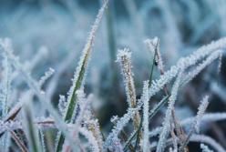 ​В Украине ожидаются ночные заморозки до -5 °С