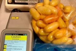 В Киеве таможенники задержали иностранца с кокаином в животе