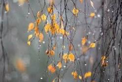 Морозы и штормовой ветер: синоптик дала детальный прогноз на 25 ноября