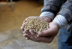 Аудит выявил в Аграрном фонде миллиардные потери