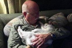 Эксперты объяснили, как одиночество влияет на работу мозга