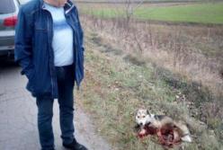 Под Хмельницким мужчина привязал собаку к машине и 1,5 км тащил по дороге (видео)