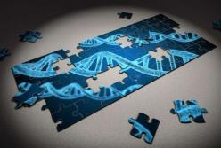 Ученые "взломали" генетический код жизни
