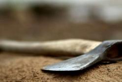 Убила топором: на Днепропетровщине женщину приговорили к 9 годам лишения свободы