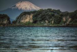 Япония впервые за десятки лет начнет уничтожать вымирающих животных