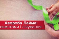 Болезнь Лайма: симптомы и лечение 