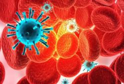 Почему рак крови часто принимают за другие болезни: ученые рассказали, в чем разница 