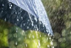 Прогноз погоды на 29 мая: всю Украину накроют дожди и грозы