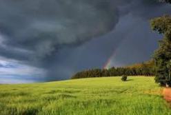 Прогноз погоды на 31 июля: жара окончательно отступает