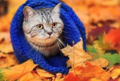 Прогноз погоды на 1 ноября: будет холодно, но солнечно (карта)