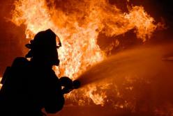 На Киевщине сгорел ангар деревообрабатывающего цеха