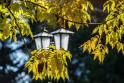 В Киеве новый температурный рекорд: самая теплая ночь за 140 лет