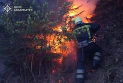 Другий день у Карпатах вирує лісова пожежа: сотні рятувальників та авіація приборкують вогонь (фото, відео) 