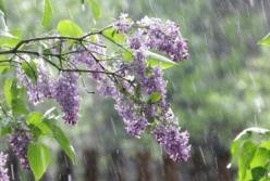 Прогноз погоды на 7 мая: в Украине будет холодно, ветрено и мокро