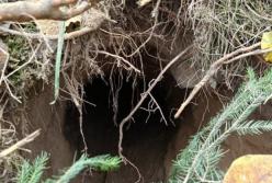 Для ухилянтів з України: на польсько-білоруському кордоні виявили тунель, яким тікають від мобілізації (фото)