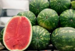 Медики предупредили об опасности покупки уже разрезанных арбузов и дынь