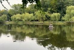 Погода в Україні: циклон відступає, очікується потепління з сонцем